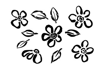 Hand-drawn sketch of flowers and leaves with a black brush. Vector floral elements. Abstract primitive botanical drawing isolated on a white background.