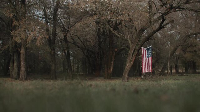 Cowgirl Woman With Braid and Scarf Wearing Cowboy Hat and Denim Jacket Riding Brown Horse With American Flag and Tree in Field in the Background
