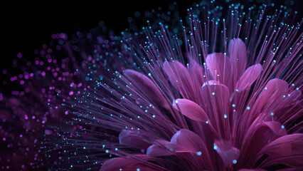 Obraz premium A stunning abstract image blending vibrant magenta petals with glowing cyan fiber optic strands and bokeh lights on a dark background.
