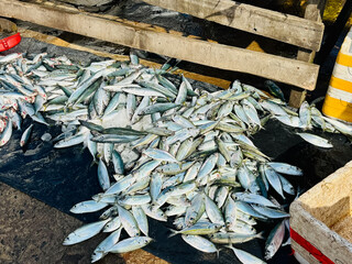 fish on the market