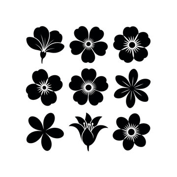 Spring Flower Bloom Icon Five Petal Garden Bloom