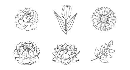 Elegant black and white floral line art collection featuring roses and lotuses