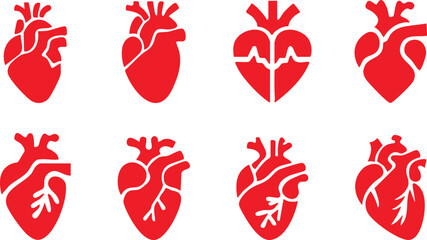 Set of anatomical heart icon Set, Human anatomical heart, heartbeat, cardiovascular, anatomy, medical, health, cardiology illustration, biology, organ, human heart collection, Vector illustration !
