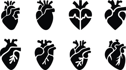 Set of anatomical heart icon Set, Human anatomical heart, heartbeat, cardiovascular, anatomy, medical, health, cardiology illustration, biology, organ, human heart collection, Vector illustration !