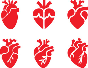 Set of anatomical heart icon Set, Human anatomical heart, heartbeat, cardiovascular, anatomy, medical, health, cardiology illustration, biology, organ, human heart collection, Vector illustration !