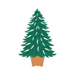 Potted Evergreen Tree. Evergreen Tree in Rustic Pot. Winter Tree Decoration. Winter Pine in a Pot. Potted Winter Spruce