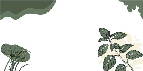 Herbal Botanical Background with Minimalist Earth Tones
