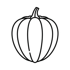 Simple outline drawing of a pumpkin with vertical ribs and a stem