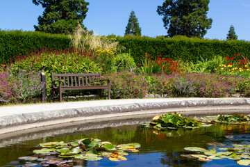 Fototapeta premium a pond with water lilies and a wooden brown bench at the powerscourt gardens in enniskerry, ireland