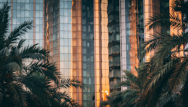Modern architectural wonder with palm trees in a warm golden hour glow