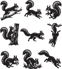 Set of Solid Fill Vector Silhouettes: Squirrels in Motion