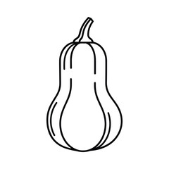 Simple outline drawing of a butternut squash on a white background