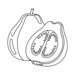 Black and white line drawing of a whole quince fruit and a half quince showing seeds and pulp