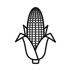 Simple outline illustration of a fresh corn cob with husk leaves