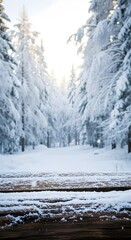 Sunlight filtering through snow covered trees in a winter forest