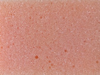 Pink porous foam texture close-up