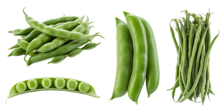 An assortment of fresh green broad beans, pea pods, and string beans is artfully arranged and isolated on a clean white background.