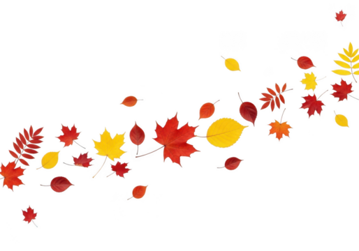 Scattered autumn leaves in various colors floating on a transparent background