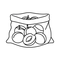 Hand drawn illustration of a bag filled with fresh plums and apricots