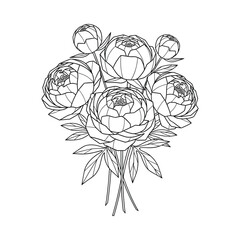 Elegant black and white line drawing of a bouquet of peonies with leaves