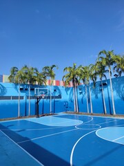 Court surrounded by palm trees in intense blue color, basketball, westwood miami art district, Miami, Florida, USA.