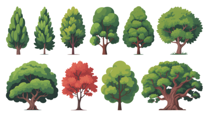Diverse tree collection with summer and autumn foliage, ready for your design projects or landscaping plans, a vibrant selection of various tree species in nature