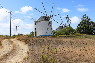 Looking up a rustic dirt path towards a classic Portuguese windmill in a field of dry, wild thistles. A second mill is visible in the background.