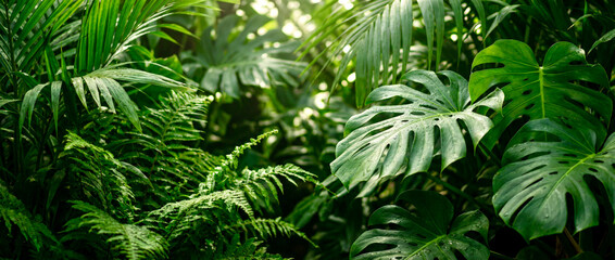 green grass background