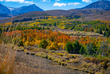 Autumn in the Eastern Sierrs
