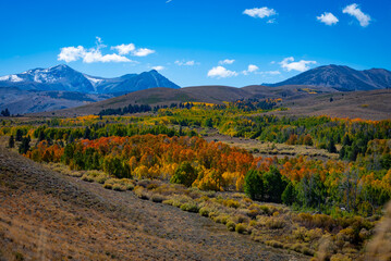 Autumn in the Eastern Sierra