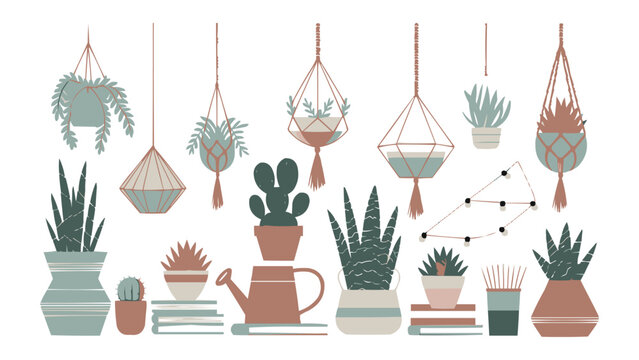 Boho indoor plant illustration set with hanging pots, succulents, cactus and home decor elements