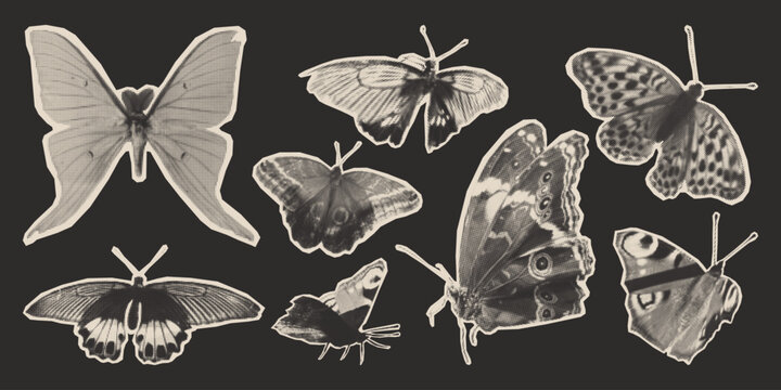 Halftone butterfly collage in grunge vintage monochrome on dark background. Retro sticker set with detailed insects - moth with dotted wings for scrapbook decoration. Y2k newspaper photocopy cutouts.