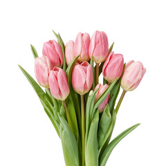 Obraz premium Fresh Pink Tulips Arranged Beautifully in a Simple Bouquet on a White Background