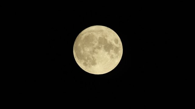 Magnifique pleine lune dor&eacute;e en gros plan avec chants de chouettes hulottes qui r&eacute;sonnent dans la nuit dans une ambiance myst&eacute;rieuse