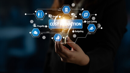 A business professional presents a light bulb symbolizing innovative cost reduction strategies, surrounded by digital icons representing financial management and planning. Tessel