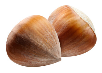 Hazelnuts isolated on a transparent background. Two hazelnut with PNG