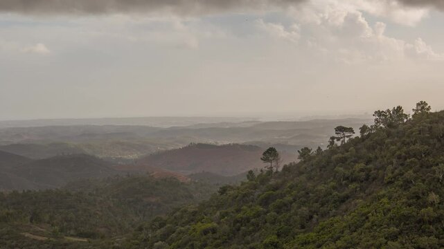 Scenic View of Rolling Hills and Forest Under a Cloudy Sky
