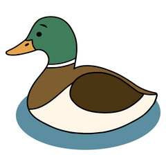 illustration of a mallard duck on water