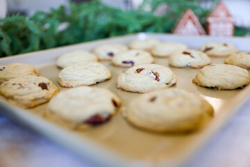 Chocolate Chip Pecan Cookies