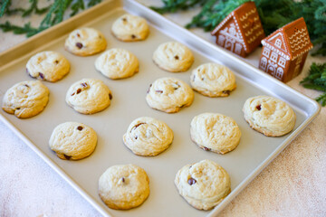 Chocolate Chip Pecan Cookies