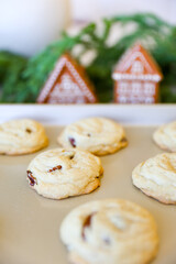 Chocolate Chip Pecan Cookies