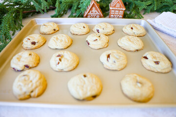 Chocolate Chip Pecan Cookies