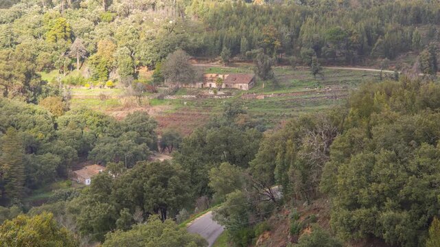 Timelapse of rural goats heading towards derelict barn surrounded by lush green terraced countryside in the Portuguese Algarve