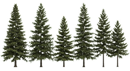 eight hyper-detailed 3d conifer tree assets (spruce, pine, hemlock) displayed linearly on transparent background with soft studio light, concept for professional architectural rendering