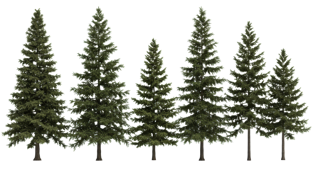 eight hyper-detailed 3d conifer tree assets (spruce, pine, hemlock) displayed linearly on transparent background with soft studio light, concept for professional architectural rendering