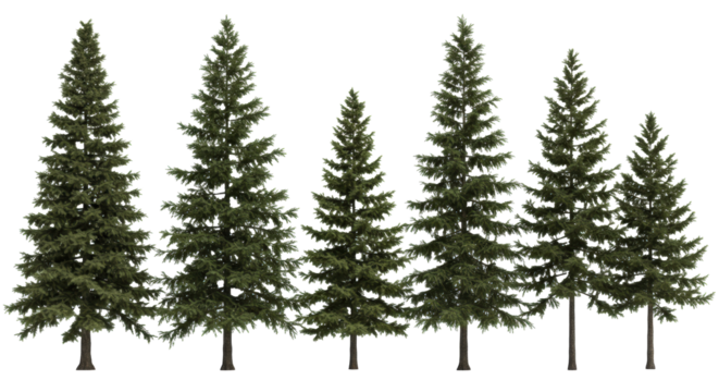 eight hyper-detailed 3d conifer tree assets (spruce, pine, hemlock) displayed linearly on transparent background with soft studio light, concept for professional architectural rendering