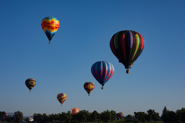 Obraz premium hot air balloon in flight