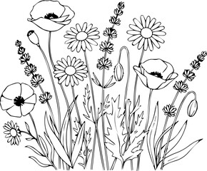 Elegant floral line art for coloring pages and nature-inspired designs, perfect for stationery, invitations, and botanical illustrations originally vector graphics