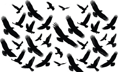 Dynamic Swarm of Black Silhouette Eagles, Hawks, and Falcons in Flight, Representing Freedom, Power, Movement, and Wildlife Conservation.