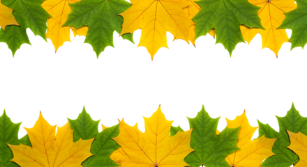 A repeating pattern of vibrant green and golden maple leaves on transparent background.